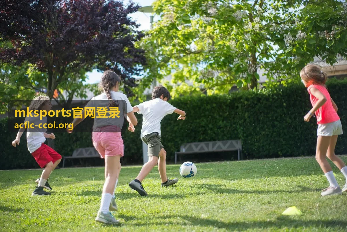 mksports官网登录 入口页面示意